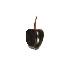 Cascabel Pepper is a medium-hot dried pepper with an earthy, acidic, slightly smoky flavor, known for the rattling sound of their seeds.