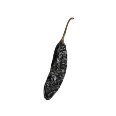Chile Pasilla is a medium-hot dried ripened chilaca chilli, with a rich, long-lasting but tangy flavor.