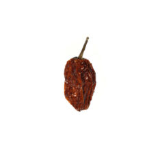 One of the hottest varieties in the world. Dried habanero has an intense citrusy flavor with an extreme but short-lived heat perfect to spice up meals and snacks.